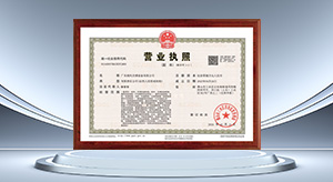 专业技术团队